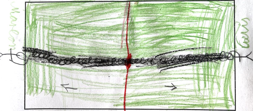 2025 Bild Tauziehen2